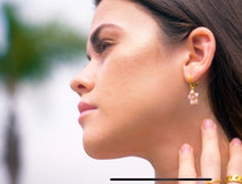 Load image into Gallery viewer, Entourage Earrings